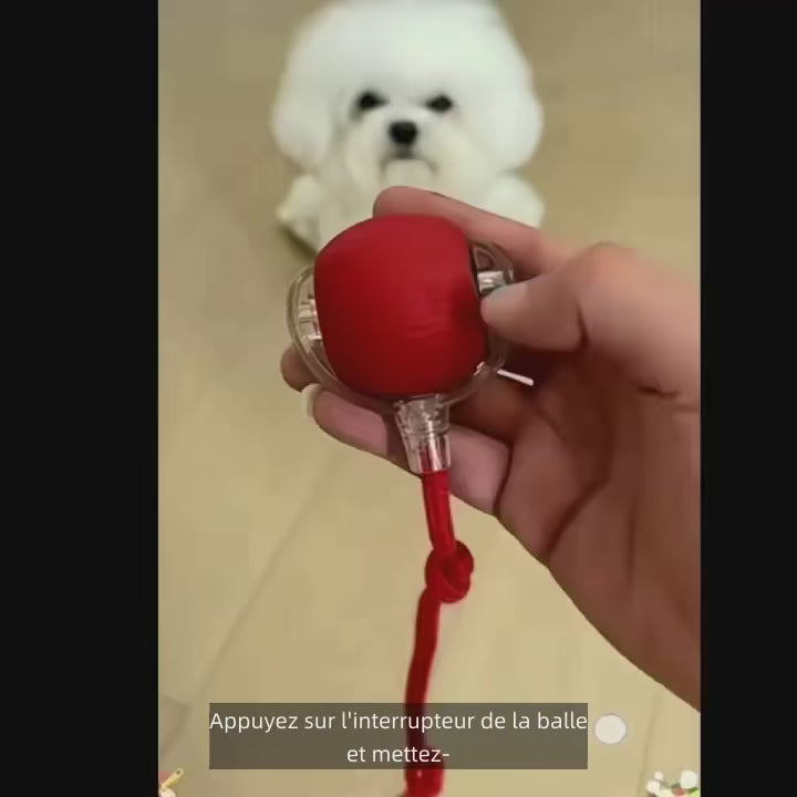 Balle Roulante Automatique pour Chien — Jouet Interactif Anti-Ennui