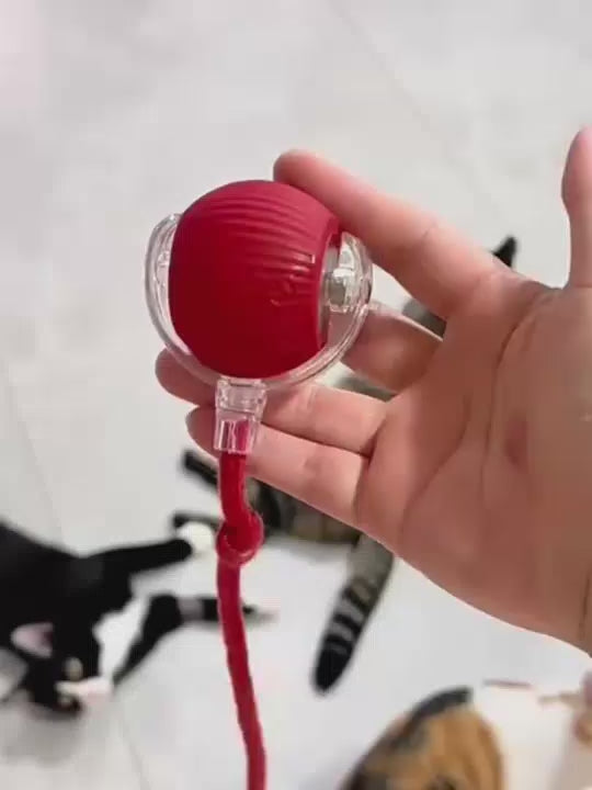 Balle Roulante Automatique pour Chien — Jouet Interactif Anti-Ennui
